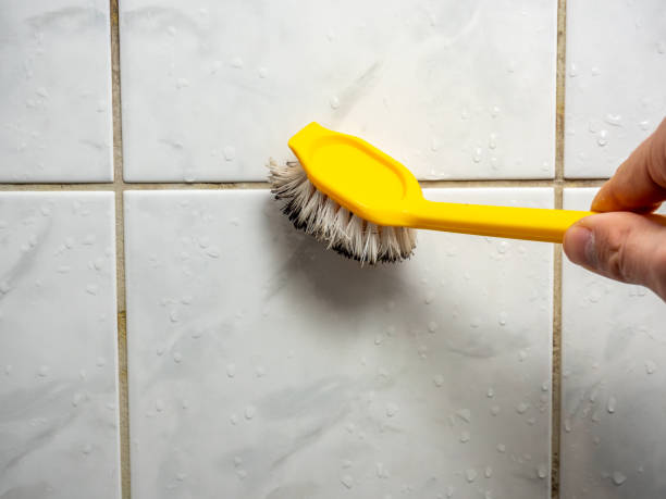 Professional Mold Removal in Lambert, MS
