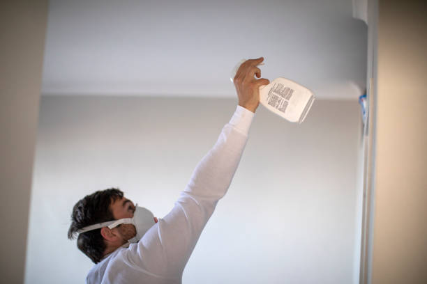 Best Toxic Mold Removal  in Lambert, MS