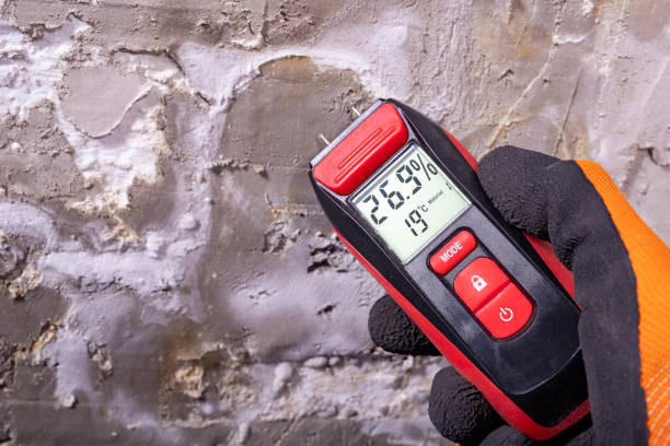 Best Affordable Mold Removal  in Lambert, MS