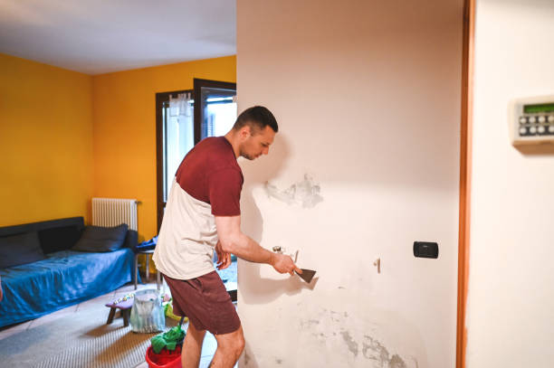 Certified Mold Removal in Lambert, MS
